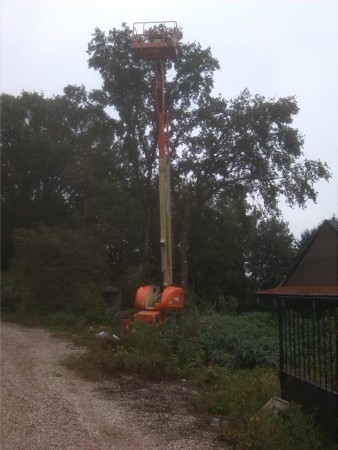 Bomen kappen met hoogtewerker